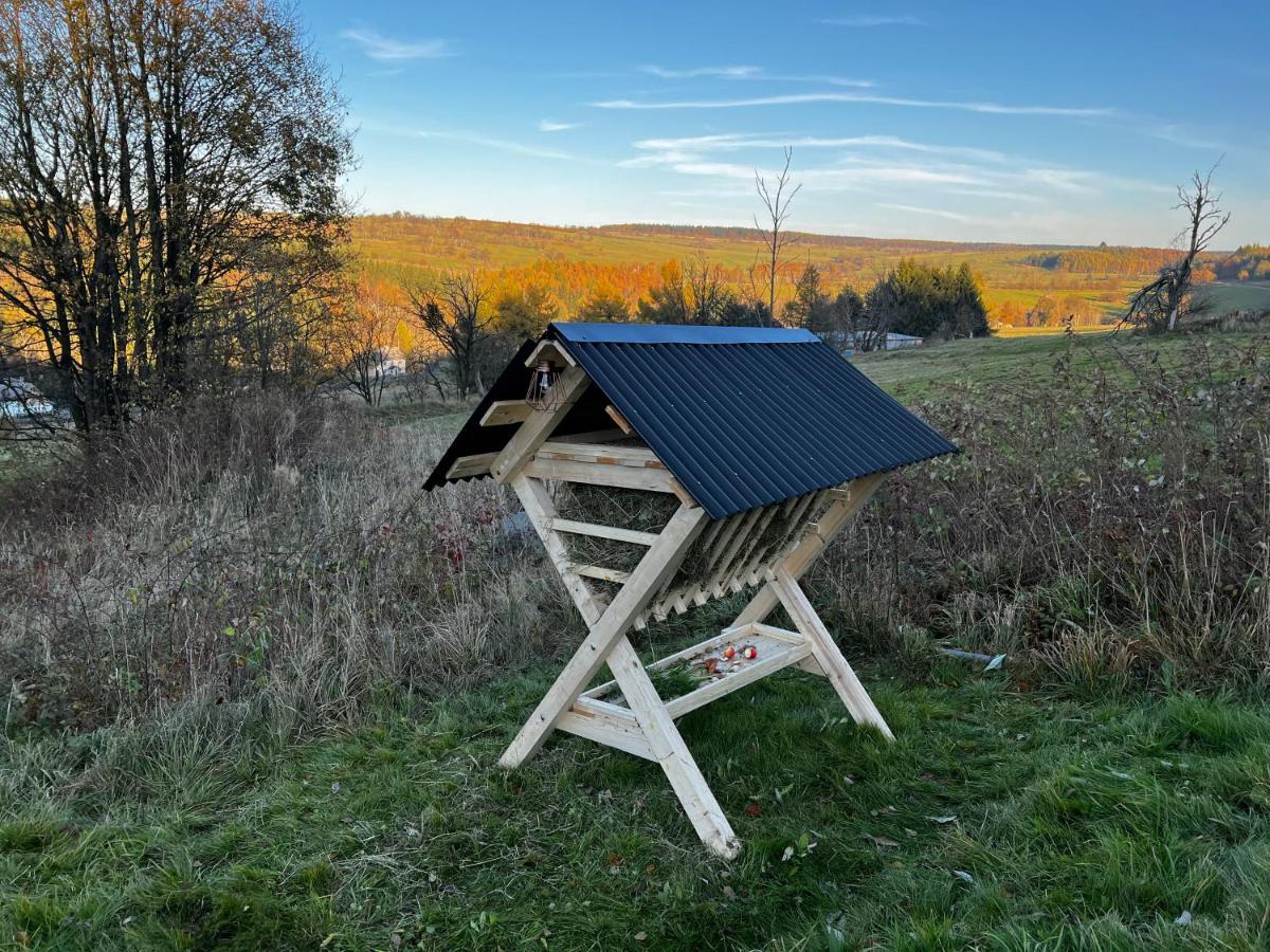 Luxus Ferienhaus Erzgebirge In Alleinlage Altenberg  Exteriör bild